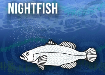 Animals that Start with N