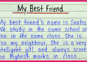 My Best Friend Essay