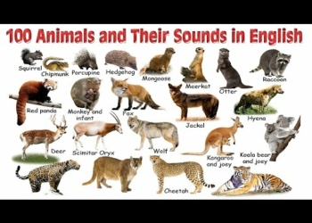 List of Animal Sounds in English