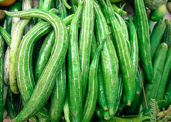 Facts About Snake Tomatoes (Elejo Tomato)