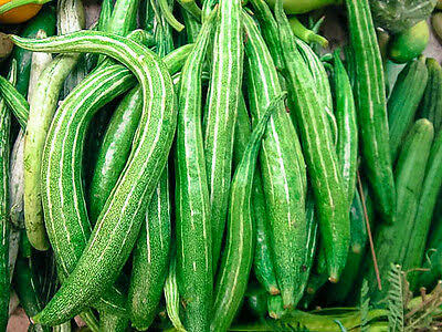 Facts About Snake Tomatoes (Elejo Tomato)