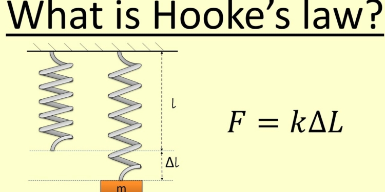 Hooke's Law