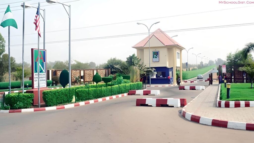 American University of Nigeria Undergraduate Requirements