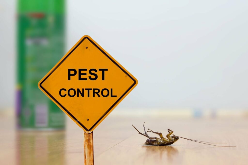 How to chase insect pests away without using insecticides