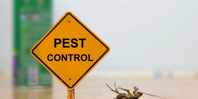 How to chase insect pests away without using insecticides