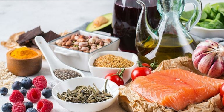 Importance of Food in Our Daily Life