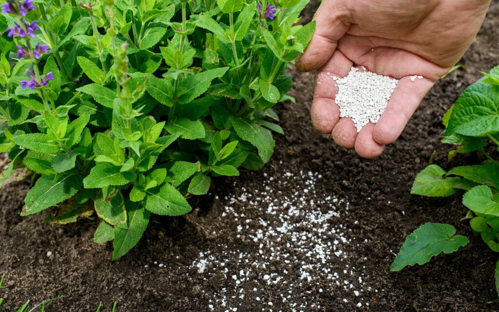 choosing the right fertilizer