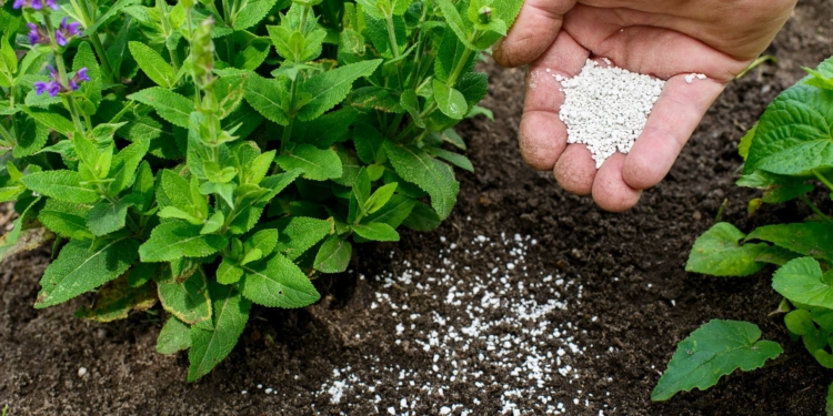 choosing the right fertilizer