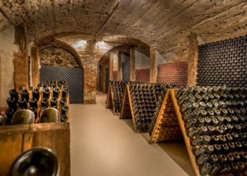 How to Store and Serve Champagne