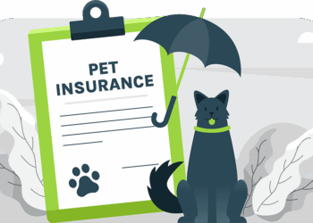 The Growing Trend of Pet Insurance in 2025
