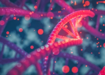 Difference Between Bacterial and Viral Infections