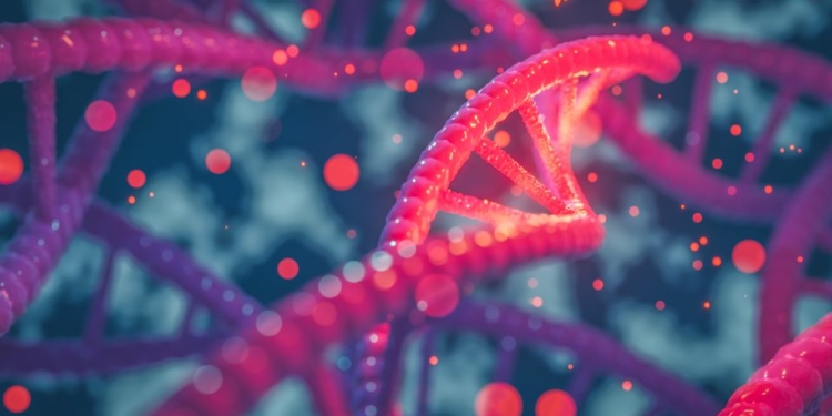 Difference Between Bacterial and Viral Infections