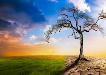 How Climate Change Is Affecting Global Food Production