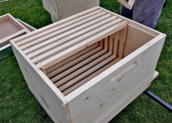 DIY Beekeeping