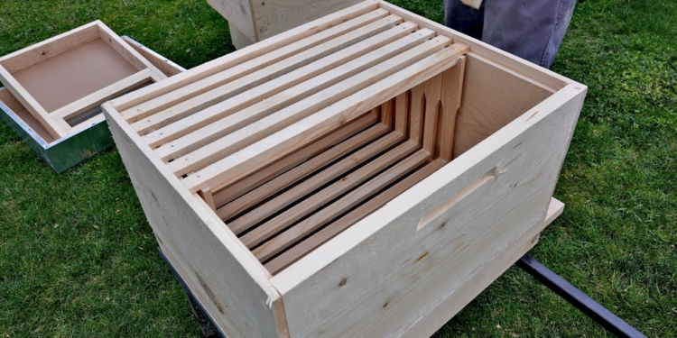 DIY Beekeeping