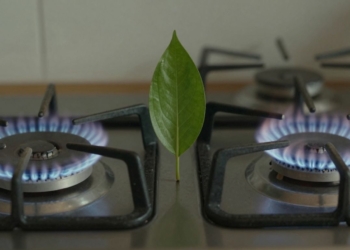 Electric stove burner versus gas flame with green leaf