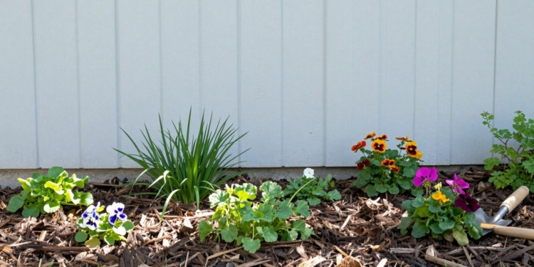 Garden bed with mulch, plants, and flowers.