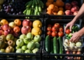 Fresh produce being sorted and packed after harvest.