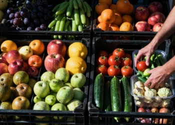Fresh produce being sorted and packed after harvest.