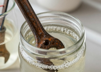 Rusty tools being cleaned with vinegar and electrolysis.