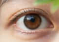 Healthy eye with sunlight and green leaves