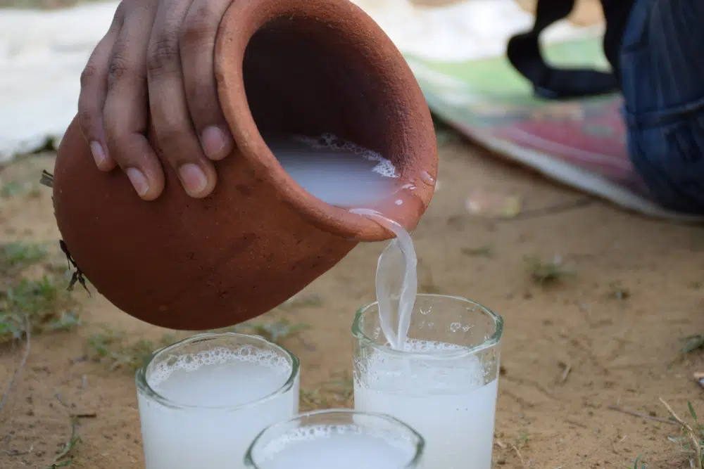 How to Make Palm Wine at Home