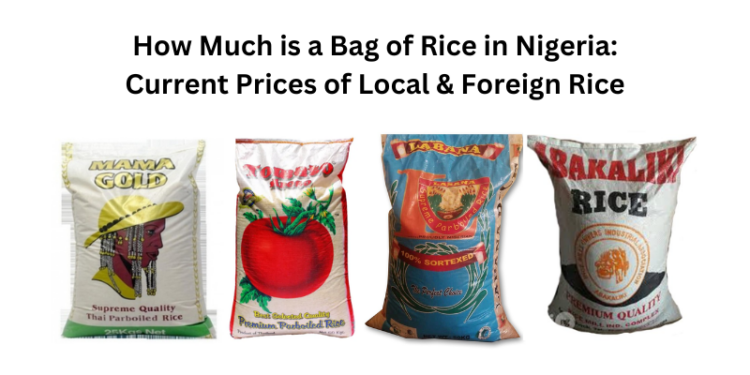 How Much is a Bag of Rice in Nigeria: Current Prices of Local & Foreign Rice