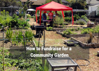 How to Fundraise for a Community Garden
