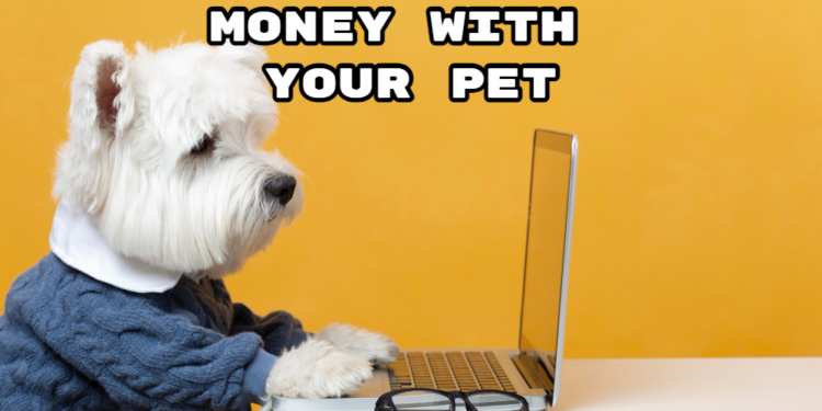 How to Make Money with Your Pet