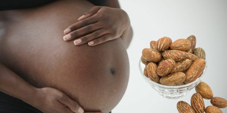 Is Bitter Kola Good for Pregnant Women?