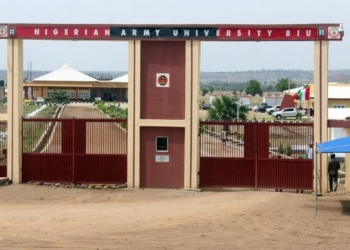 List of Courses Offered in Nigerian Army University Biu (NAUB) 2023