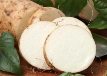 Nutritional and Health Benefits of Water Yam