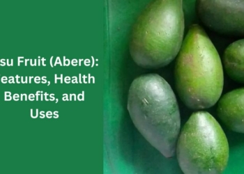 Osu Fruit (Abere): Features, Health Benefits, and Uses
