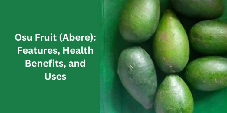 Osu Fruit (Abere): Features, Health Benefits, and Uses