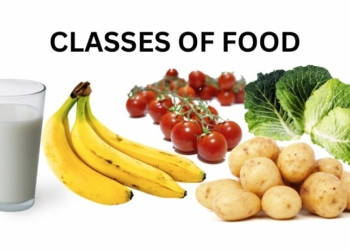 The Different Classes of Food with Examples