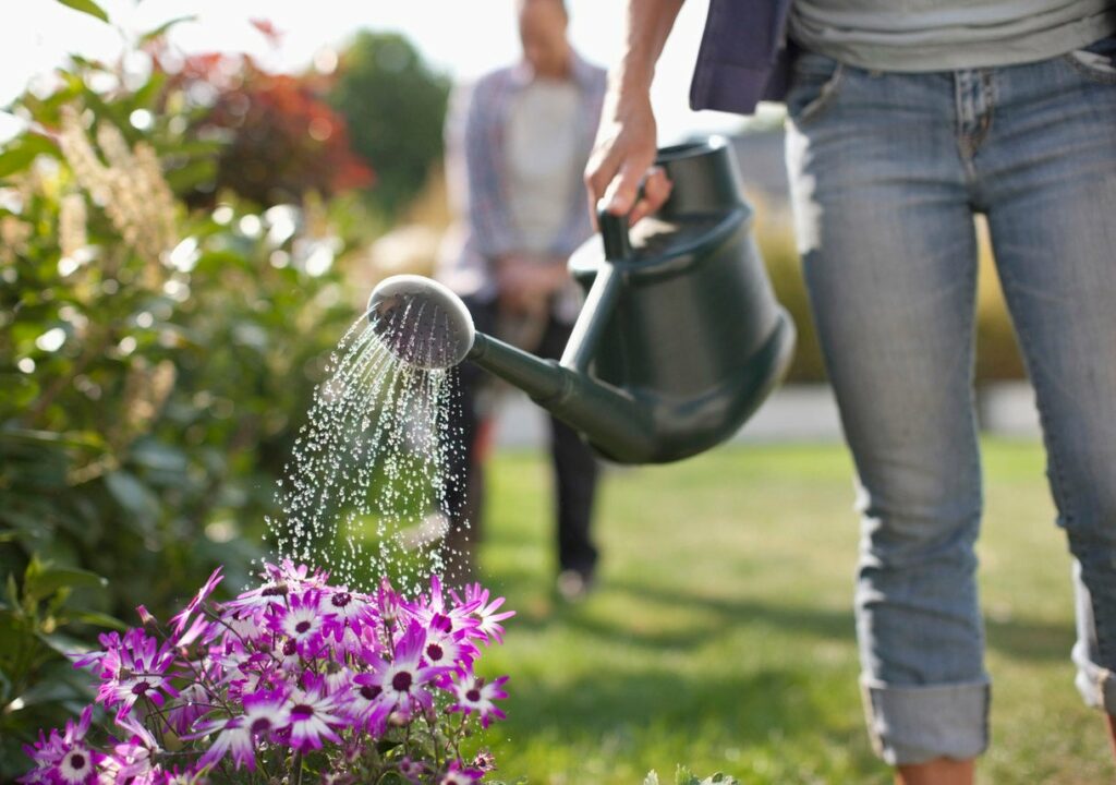 how to care for your garden