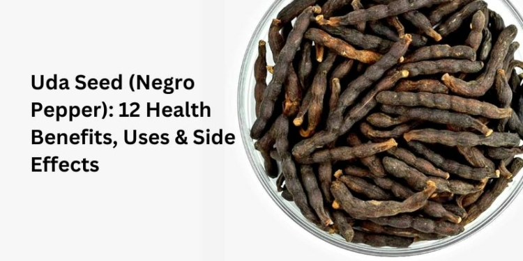 Uda Seed (Negro Pepper): 12 Health Benefits, Uses & Side Effects