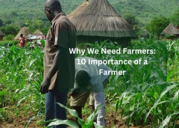 Why We Need Farmers: 10 Importance of a Farmer