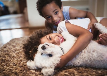THE BEST DOGS FOR YOUR KIDS