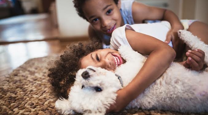 THE BEST DOGS FOR YOUR KIDS