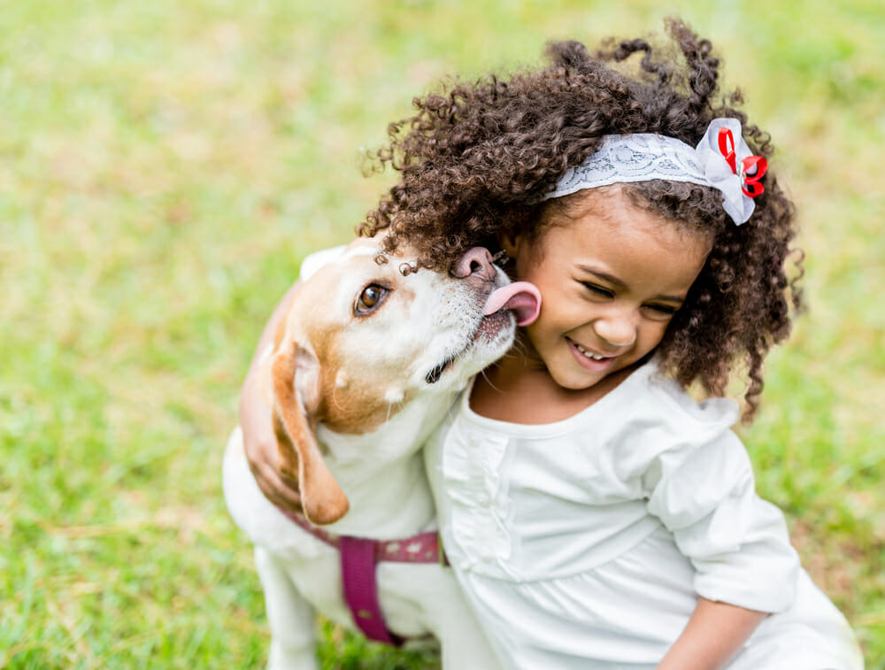 What To Consider Before Choosing a Dog for your Family