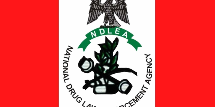 Full Meaning of NDLEA