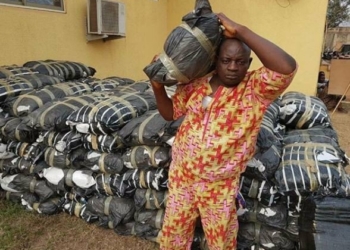 Nigerian man arrested with 114 bags of hemp