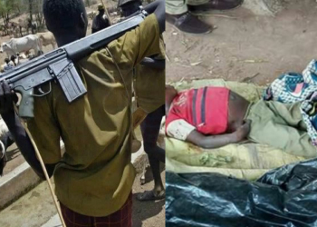 Fulani Herdsmen attack in Taraba State