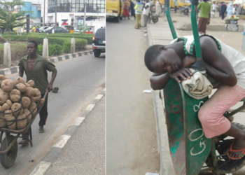 Wheel Barrow Pushers