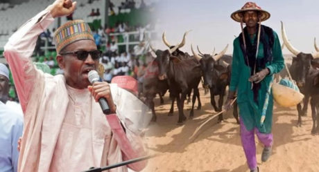 Associating President Buhari with killer herdsmen a disservice to Nigeria – Northern Christian youths