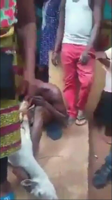 Photos: Man caught having sex with pregnant goat in Edo State