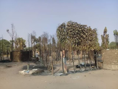 Photos: Scores killed, homes razed by suspected Fulani herdsmen in Numan, Adamawa State
