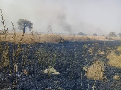 Photos: Scores killed, homes razed by suspected Fulani herdsmen in Numan, Adamawa State