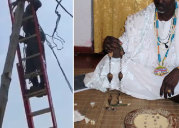 PHCN official on his ladder, Ifa Priest